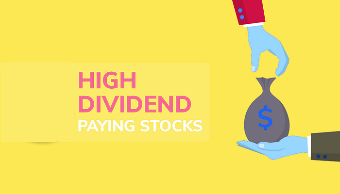 Highest dividend paying stocks in India
