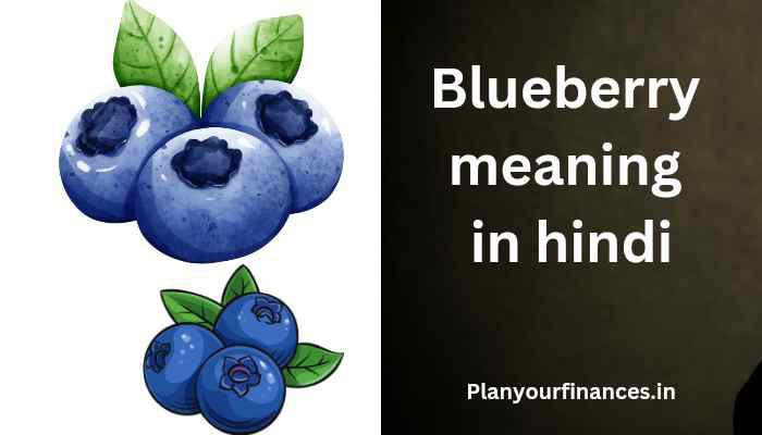 Blueberry meaning in Hindi | ब्लूबेरी को हिंदी में क्या कहते हैं?