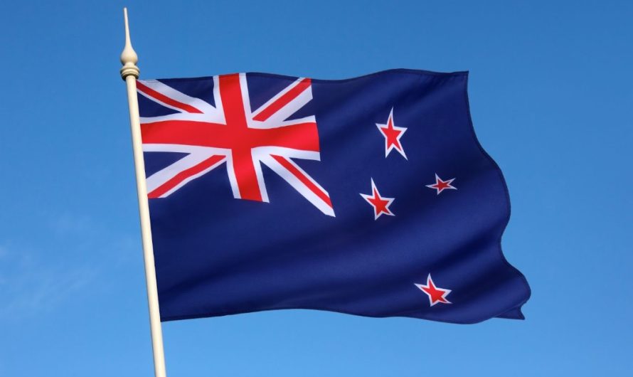 Discovering the Land of Kiwis: 12 Fun Facts About New Zealand