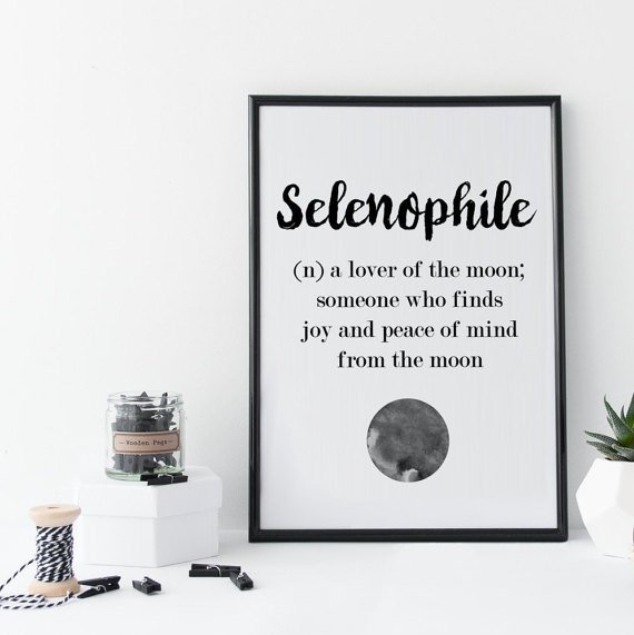 Selenophile Meaning in English and Hindi